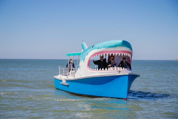 1-hour Dolphin Sightseeing Adventure Cruise from Madeira Beach - Photo 1 of 15